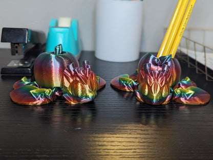 Rainbow Apple Shell Turtle pair with Movable Limbs and Storage - Ideal Teacher Gift