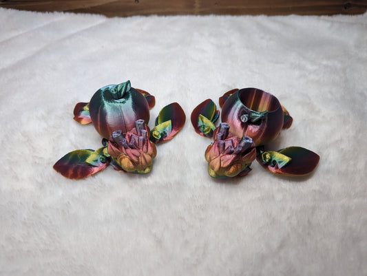 Rainbow Apple Shell Turtle pair with Movable Limbs and Storage - Ideal Teacher Gift