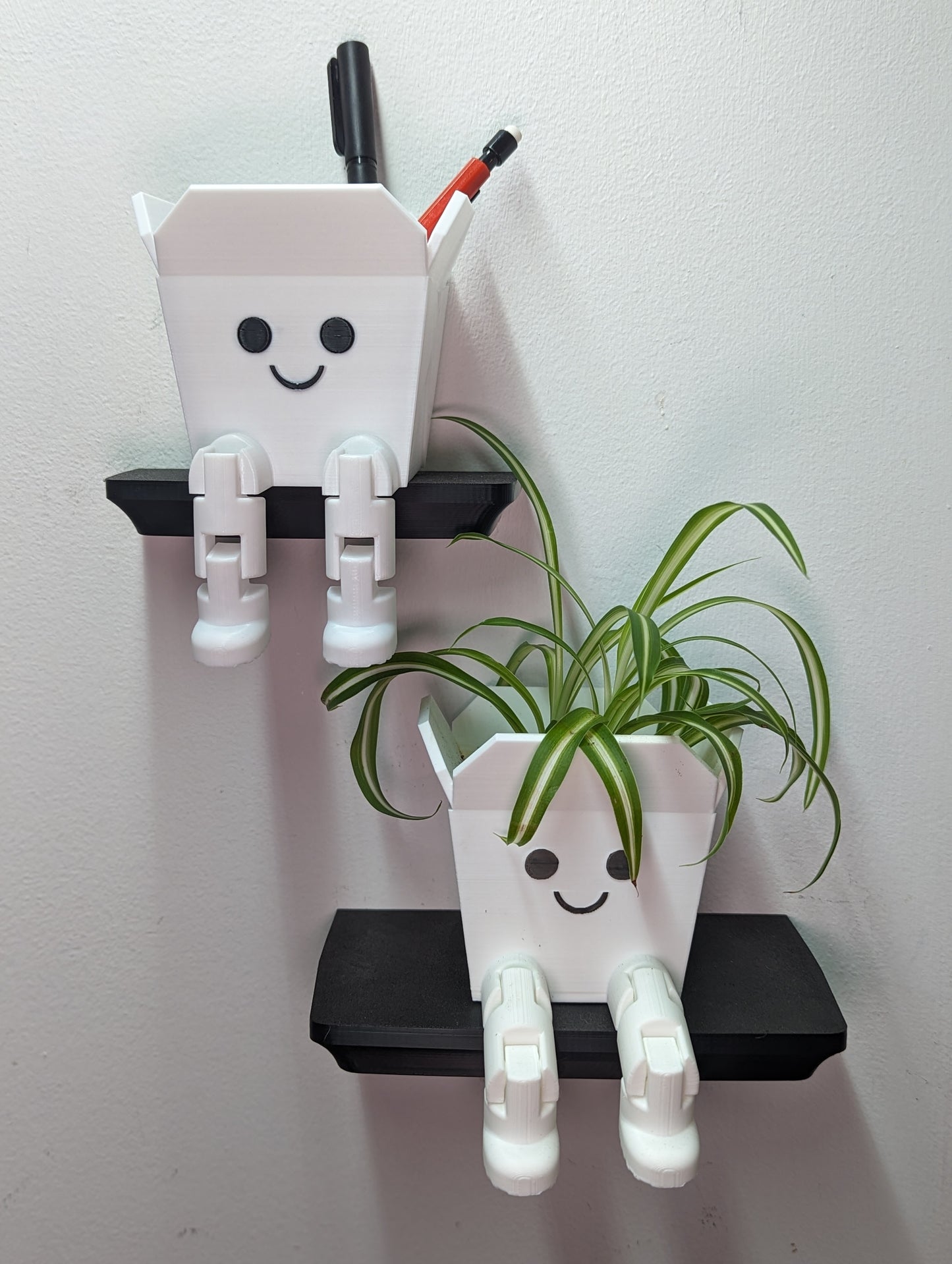 Takeout Container Desk Buddy/ Planter